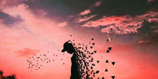 Imagem do grupo de WhatsApp JJKTREEDISTRIBUIDORAS -ITU