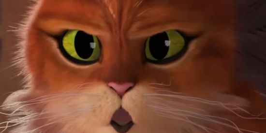 Imagem do grupo de WhatsApp Explanadas da meia noite