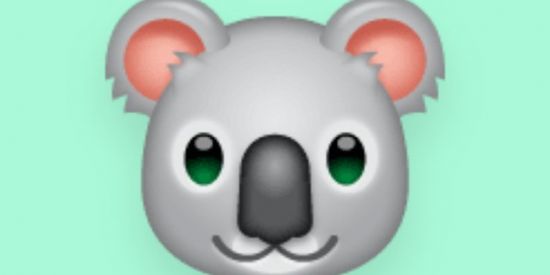 Imagem do grupo de WhatsApp Maranhão amizade