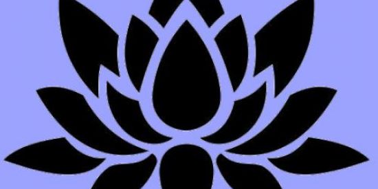 Imagem do grupo de WhatsApp BLACK LOTUS | 🏴‍☠️