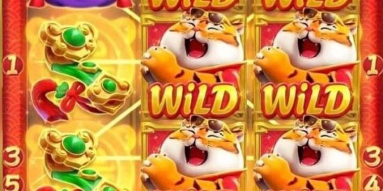 Imagem do grupo de WhatsApp Divulgar plataforma slots