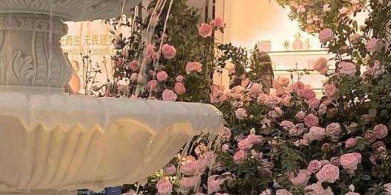 Imagem do grupo de WhatsApp Grupo para seguidores e amigos‼️