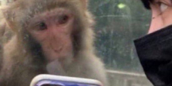 Imagem do grupo de WhatsApp Renegados