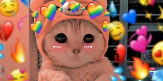 Imagem do grupo de WhatsApp 💖 Amizade 💖