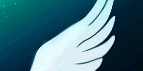 Imagem do grupo de WhatsApp FOGO LIVRE 🔥π√