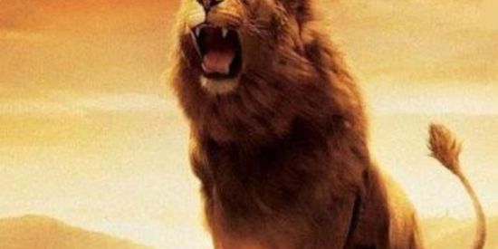 Imagem do grupo de WhatsApp De 13 aos 15