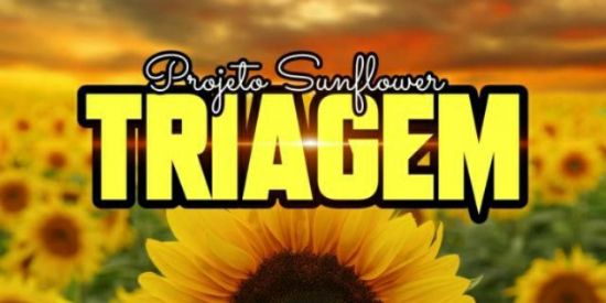 Imagem do grupo de WhatsApp 🌻▪︎TRIAGEM SUNFLOWER▪︎