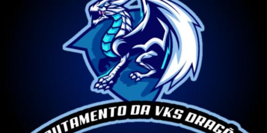 Imagem do grupo de WhatsApp RECRUTAMENTO DA VKS   DRAGÃOS ™2