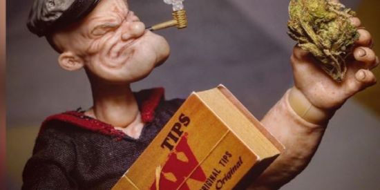 Imagem do grupo de WhatsApp MUNDO CANNABICO🍁🔥