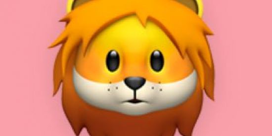 Imagem do grupo de WhatsApp Divulgação de rifas 😜