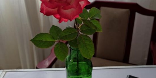 Imagem do grupo de WhatsApp Atividades terapêuticas