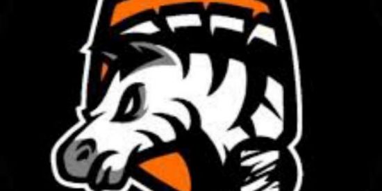 Imagem do grupo de WhatsApp 🎭zZOOBrawl🎭