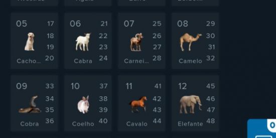 Imagem do grupo de WhatsApp Gropo jogo do bicho