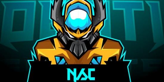 Imagem do grupo de WhatsApp Recrutamento para a NSC E-SPORTS