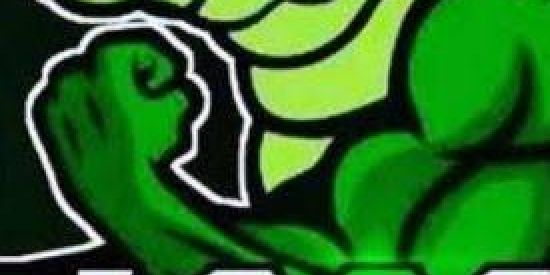 Imagem do grupo de WhatsApp Teste da tropa da LACOSTE