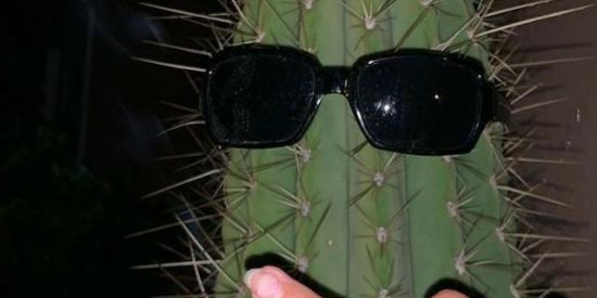 Imagem do grupo de WhatsApp Amizades e figurinhas😎❤️