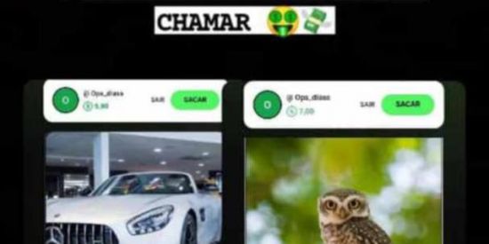 Imagem do grupo de WhatsApp Ganha dinheiro curtindo foto no Instagram 💸