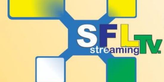 Imagem do grupo de WhatsApp SUPORTE NOVOS CLIENTES SFL Plus