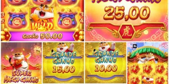 Imagem do grupo de WhatsApp Grupos Robos pagos chama os adm