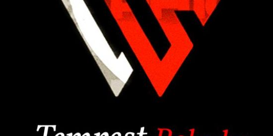 Imagem do grupo de WhatsApp Tempest Roleplay