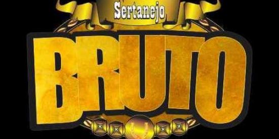 Imagem do grupo de WhatsApp BRUTOS RAIZ SERTANEJO