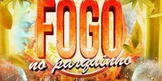 Imagem do grupo de WhatsApp Triagem do parquinho