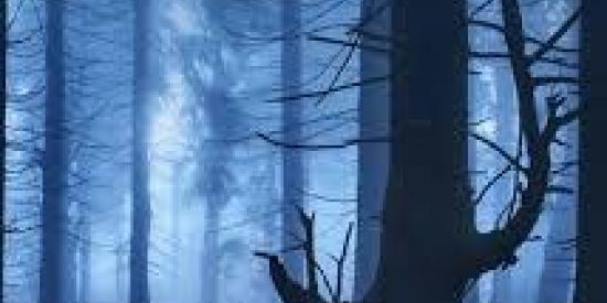 Imagem do grupo de WhatsApp 🤘💀quiet village😶