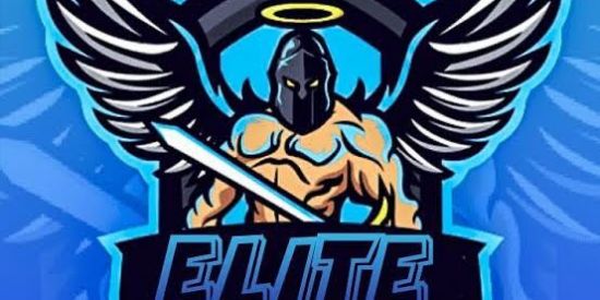 Imagem do grupo de WhatsApp ELITE VAPO FF