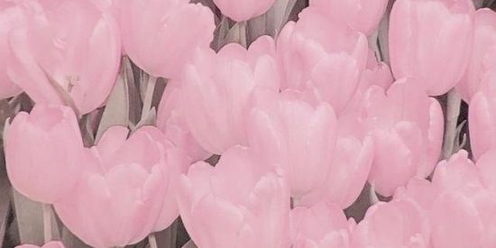 Imagem do grupo de WhatsApp ─  𝒜𝖾𝗌𝗍𝗁𝖾𝗍𝗂𝖼 - 𝒢𝗂𝗋𝗅𝗌/ℬ𝗈𝗒𝗌 ˒˒ 🌷 ↯