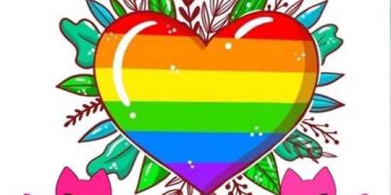Imagem do grupo de WhatsApp Amizade colorida!!