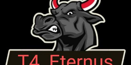 Imagem do grupo de WhatsApp T4  Eternus 🥷🏻🥇