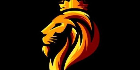 Imagem do grupo de WhatsApp THE KINGS