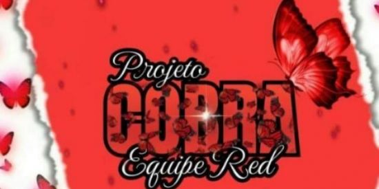 Imagem do grupo de WhatsApp ✨🍾•FESTIVAL 22HS•🥂✨