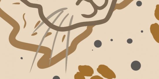 Imagem do grupo de WhatsApp Os melhores para bichinhos 🐶🐱