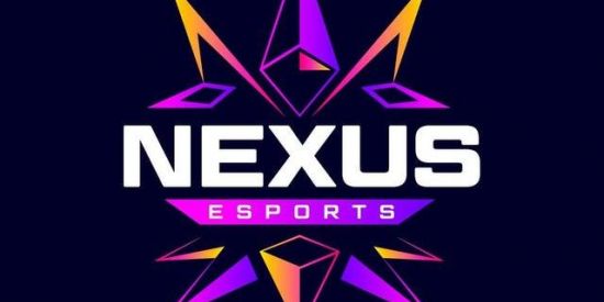 Imagem do grupo de WhatsApp SELETIVA NX