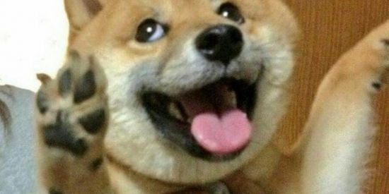 Imagem do grupo de WhatsApp Zueria total🤪💫