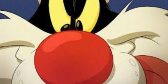 Imagem do grupo de WhatsApp DIVULGAÇÃO SOCIAIS🤠