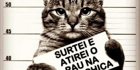 Imagem do grupo de WhatsApp 🦧 ⛩️💘𝕋𝕣𝕠𝕔𝕒 𝕕𝕖 𝕗𝕚𝕘𝕦𝕣𝕚𝕟𝕙𝕒𝕤 𝕖 𝕒𝕞𝕚𝕫𝕒𝕕𝕖🤣🤣💘⛩️ 🦧