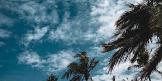 Imagem do grupo de WhatsApp Gyn do corre