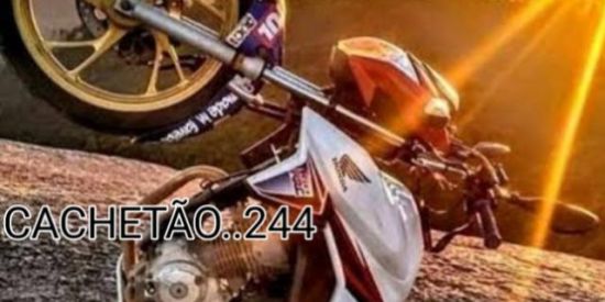 Imagem do grupo de WhatsApp CACHETA.. 244