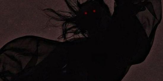 Imagem do grupo de WhatsApp 𝐇𝐎𝐍𝐎𝐑 𝐎𝐅 𝐊𝐈𝐍𝐆𝐒 ✯