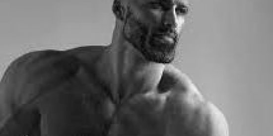 Imagem do grupo de WhatsApp Mafia Calva