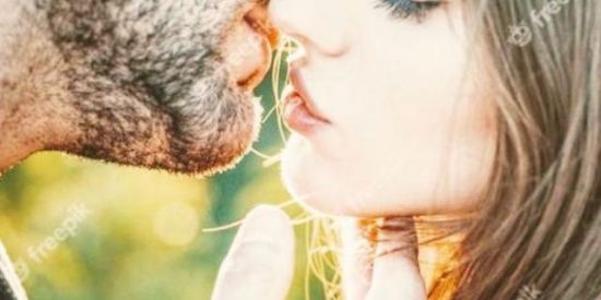 Imagem do grupo de WhatsApp Amor sem Fronteiras ❤️