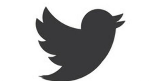 Imagem do grupo de WhatsApp +Seguidores Twitter