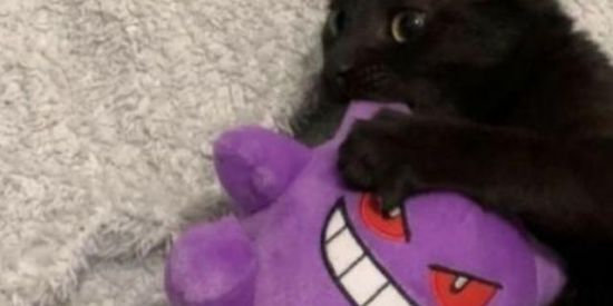 Imagem do grupo de WhatsApp 𝕳𝖆𝖛𝖊 𝖆 𝖌𝖔𝖔𝖉 𝖙𝖎𝖒𝖊☕︎