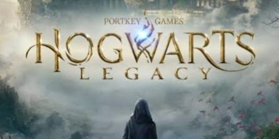 Imagem do grupo de WhatsApp Howarts LEGACY