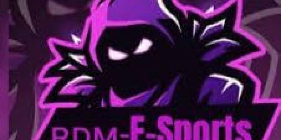 Imagem do grupo de WhatsApp 𝚁𝙳𝙼 𝙴-𝚜𝚙𝚘𝚛𝚝𝚜