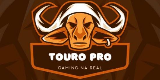 Imagem do grupo de WhatsApp Grupo da família touro pro