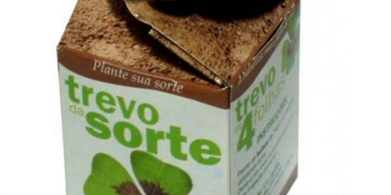 Imagem do grupo de WhatsApp Trevo 🍀 da sorte rifas