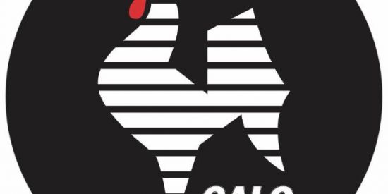 Imagem do grupo de WhatsApp Criatório de galo